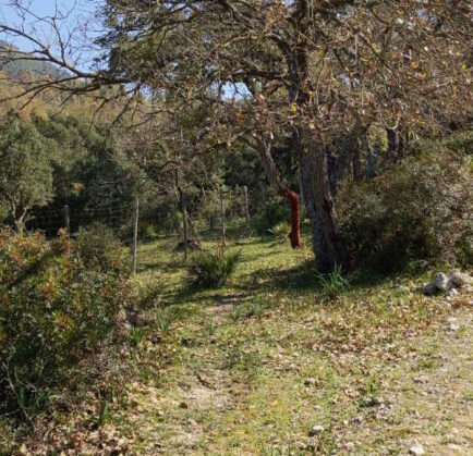 Alla scoperta della Montagna Ganzaria: trekking indimenticabile!